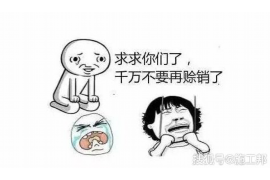 菏泽专业讨债公司有哪些核心服务？